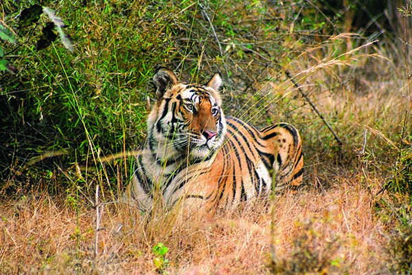 1467874412_0band 1.jpg